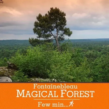アパート Standing A 7min De Fontainebleau Centre, 3min De Moret-sur-loing Et 45min De Paris